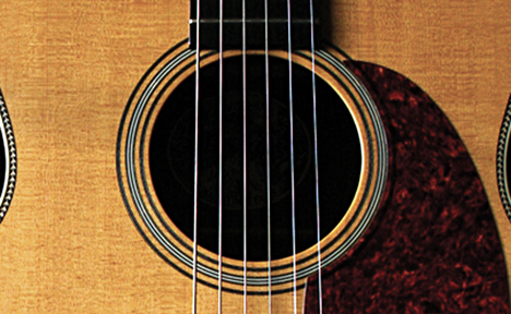 Guitar